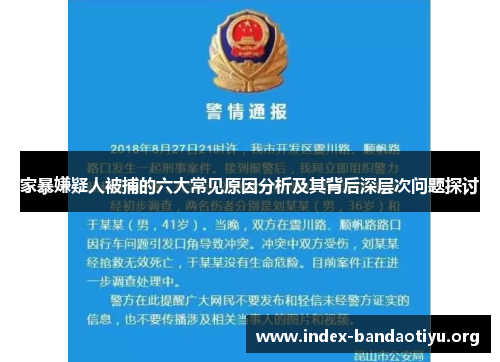 家暴嫌疑人被捕的六大常见原因分析及其背后深层次问题探讨